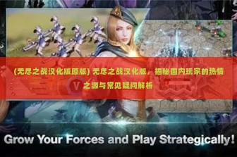 (无尽之战汉化版原版) 无尽之战汉化版，揭秘国内玩家的热情之源与常见疑问解析