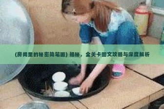 (房间里的秘密简笔画) 揭秘，全关卡图文攻略与深度解析