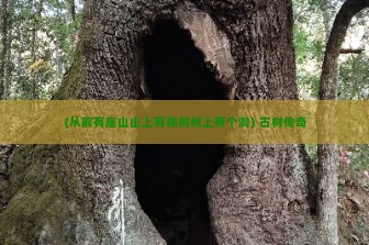 (从前有座山山上有棵树树上有个洞) 古树传奇