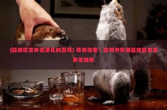 (猿猴吃变异蛋进化的游戏) 奇闻怪事！动物界惊现猿猴食用变异蛋现象