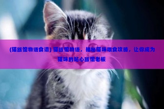 (猫旅馆物语食谱) 猫旅馆物语，揭秘猫咪喂食攻略，让你成为猫咪的贴心旅馆老板