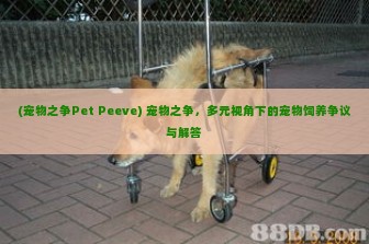 (宠物之争Pet Peeve) 宠物之争，多元视角下的宠物饲养争议与解答