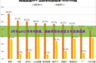 (代号gbl) 代号B布线，揭秘其背后的含义与实际应用