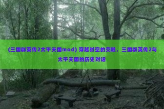 (三国群英传2太平天国mod) 穿越时空的交融，三国群英传2与太平天国的历史对话