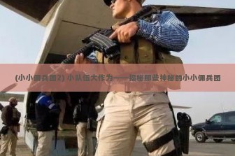 (小小佣兵团2) 小队伍大作为——揭秘那些神秘的小小佣兵团