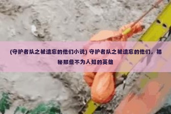 (守护者队之被遗忘的他们小说) 守护者队之被遗忘的他们，揭秘那些不为人知的英雄