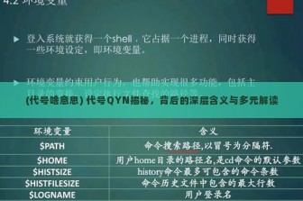 (代号啥意思) 代号QYN揭秘，背后的深层含义与多元解读