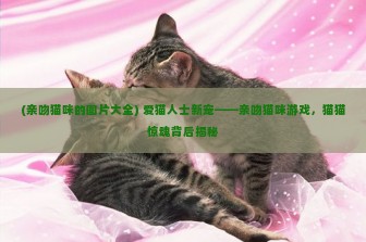 (亲吻猫咪的图片大全) 爱猫人士新宠——亲吻猫咪游戏，猫猫惊魂背后揭秘