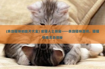 (亲吻猫咪的图片大全) 爱猫人士新宠——亲吻猫咪游戏，猫猫惊魂背后揭秘