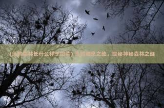 (乌鸦森林长什么样子图片) 乌鸦栖息之地，探秘神秘森林之谜