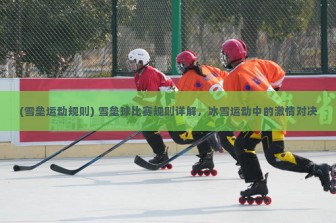 (雪垒运动规则) 雪垒球比赛规则详解，冰雪运动中的激情对决