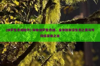 (绿梦生态园图片) 探秘绿梦生态园，全景图解读生态之美与可持续发展之路