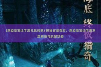 (新盗墓笔记手游礼包领取) 探秘古墓奇珍，新盗墓笔记手游深度解析与玩家攻略