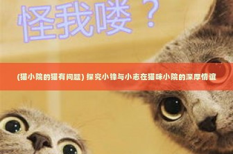 (猫小院的猫有问题) 探究小锋与小志在猫咪小院的深厚情谊