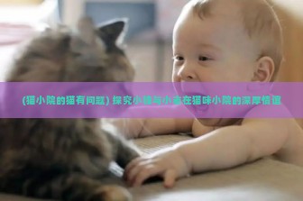 (猫小院的猫有问题) 探究小锋与小志在猫咪小院的深厚情谊