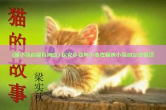 (猫小院的猫有问题) 探究小锋与小志在猫咪小院的深厚情谊