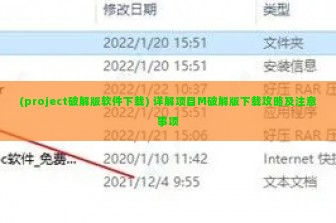 (project破解版软件下载) 详解项目M破解版下载攻略及注意事项