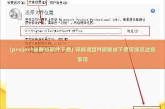 (project破解版软件下载) 详解项目M破解版下载攻略及注意事项