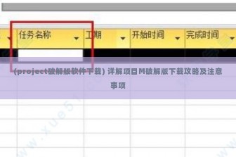 (project破解版软件下载) 详解项目M破解版下载攻略及注意事项