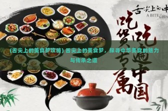 (舌尖上的美食梦攻略) 舌尖上的美食梦，探寻中华美食的魅力与传承之道