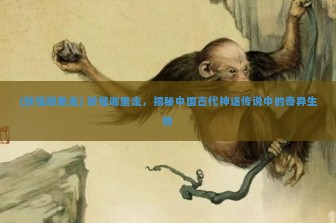 (妖怪那里走) 妖怪哪里走，揭秘中国古代神话传说中的奇异生物