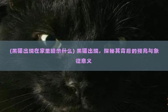 (黑猫出现在家里暗示什么) 黑猫出现，探秘其背后的预兆与象征意义